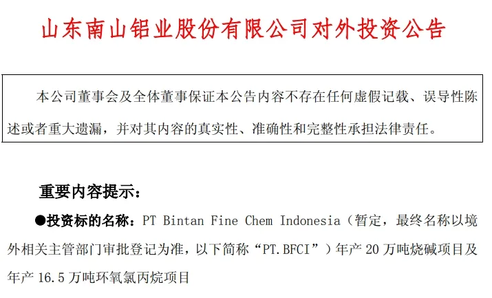 都往东南亚跑？昔日山东首富拟印尼建年产16.5万吨环氧氯丙烷项目
